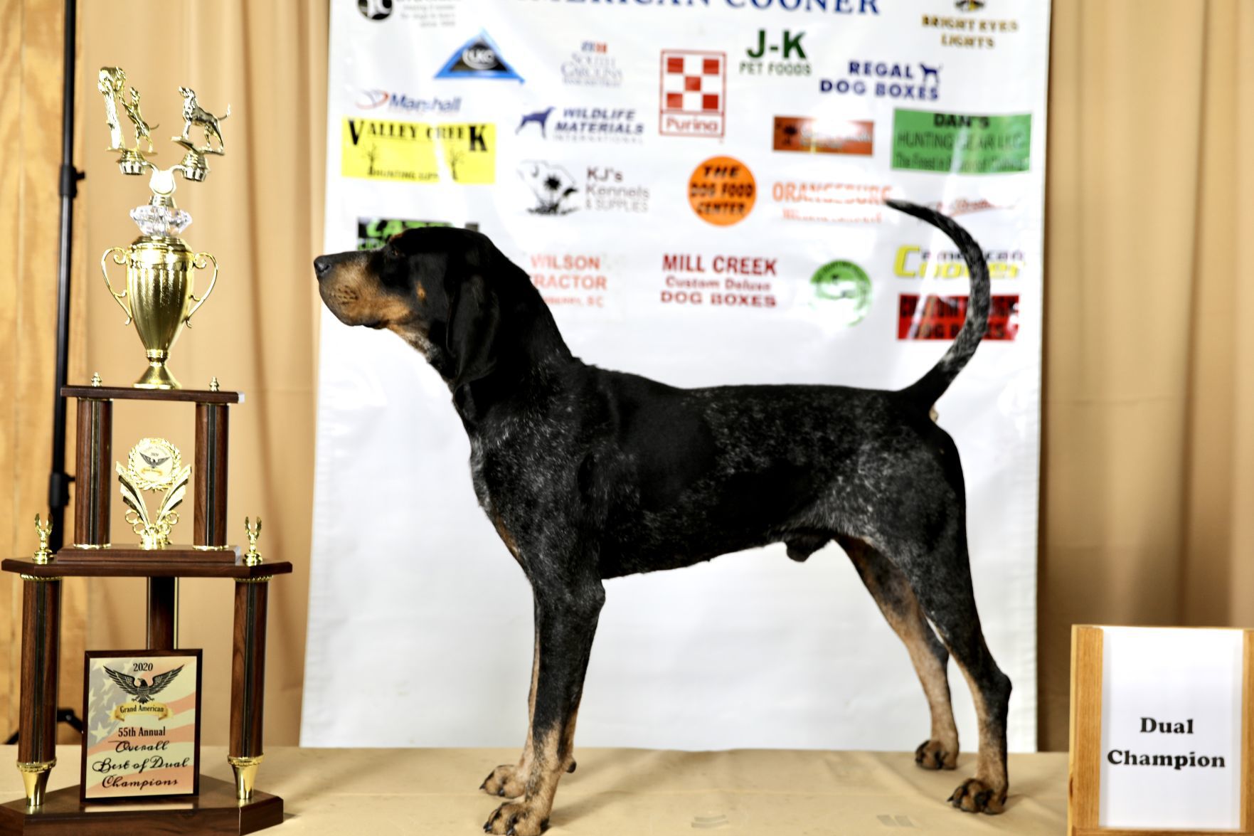 Grand American 2020